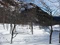 fourcat_gerard 011
